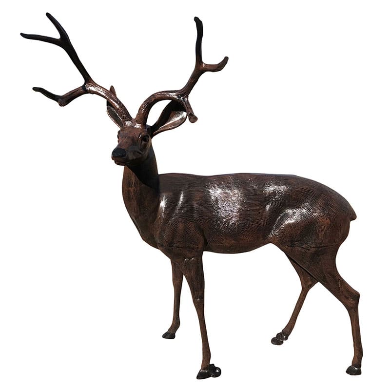 Large deer buck