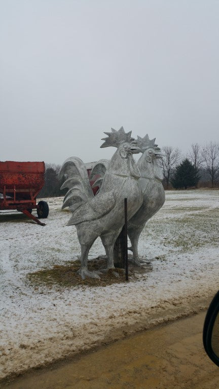 8ft Rooster