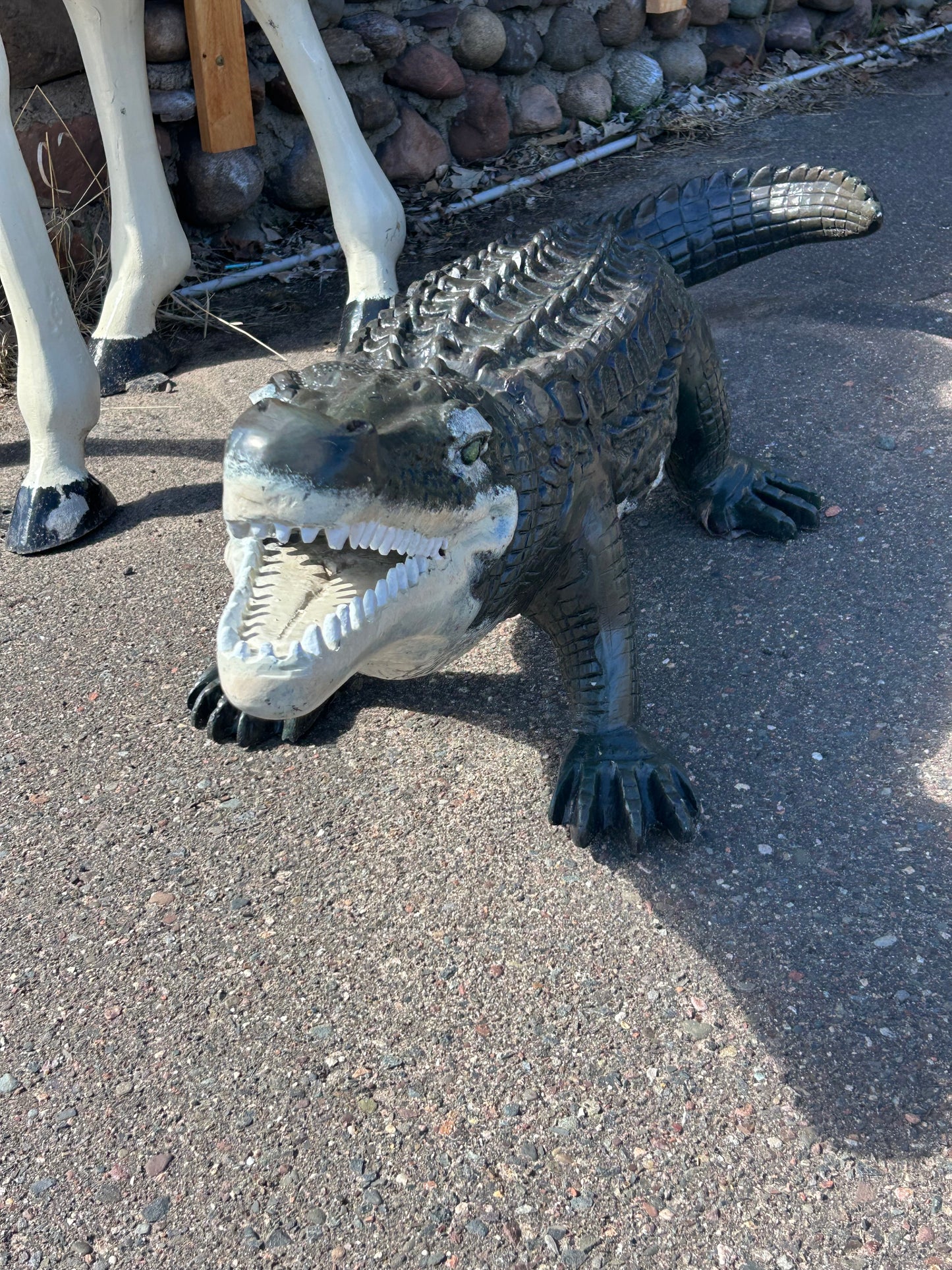Extra Large Crocodile