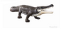 Extra Large Crocodile