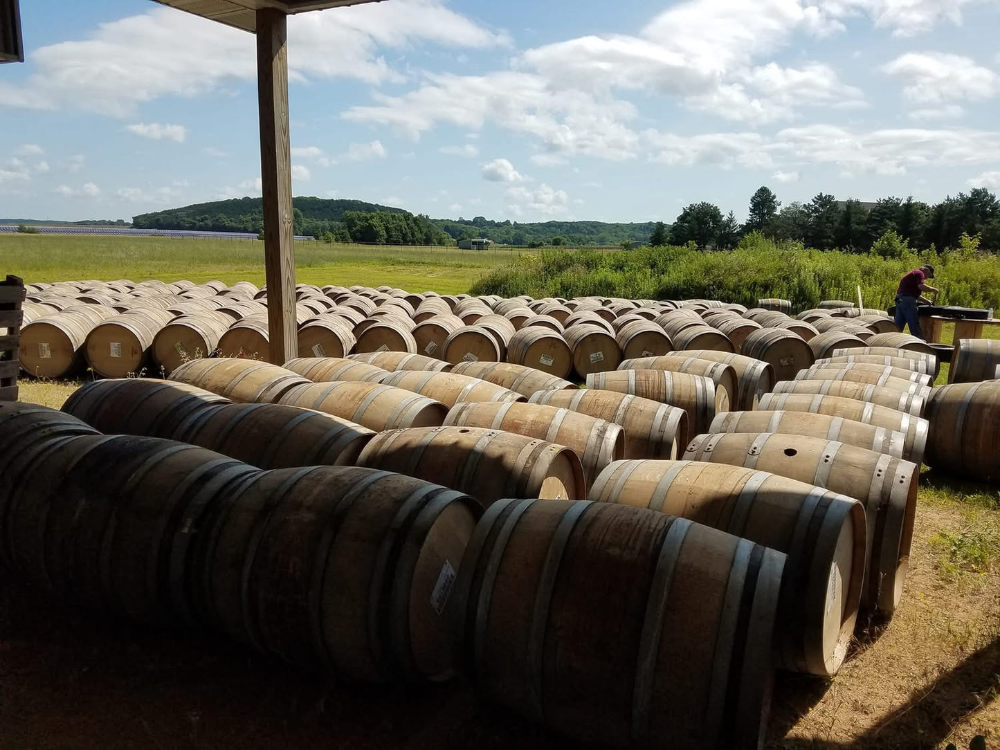 Wine Barrels for Rent & Sale