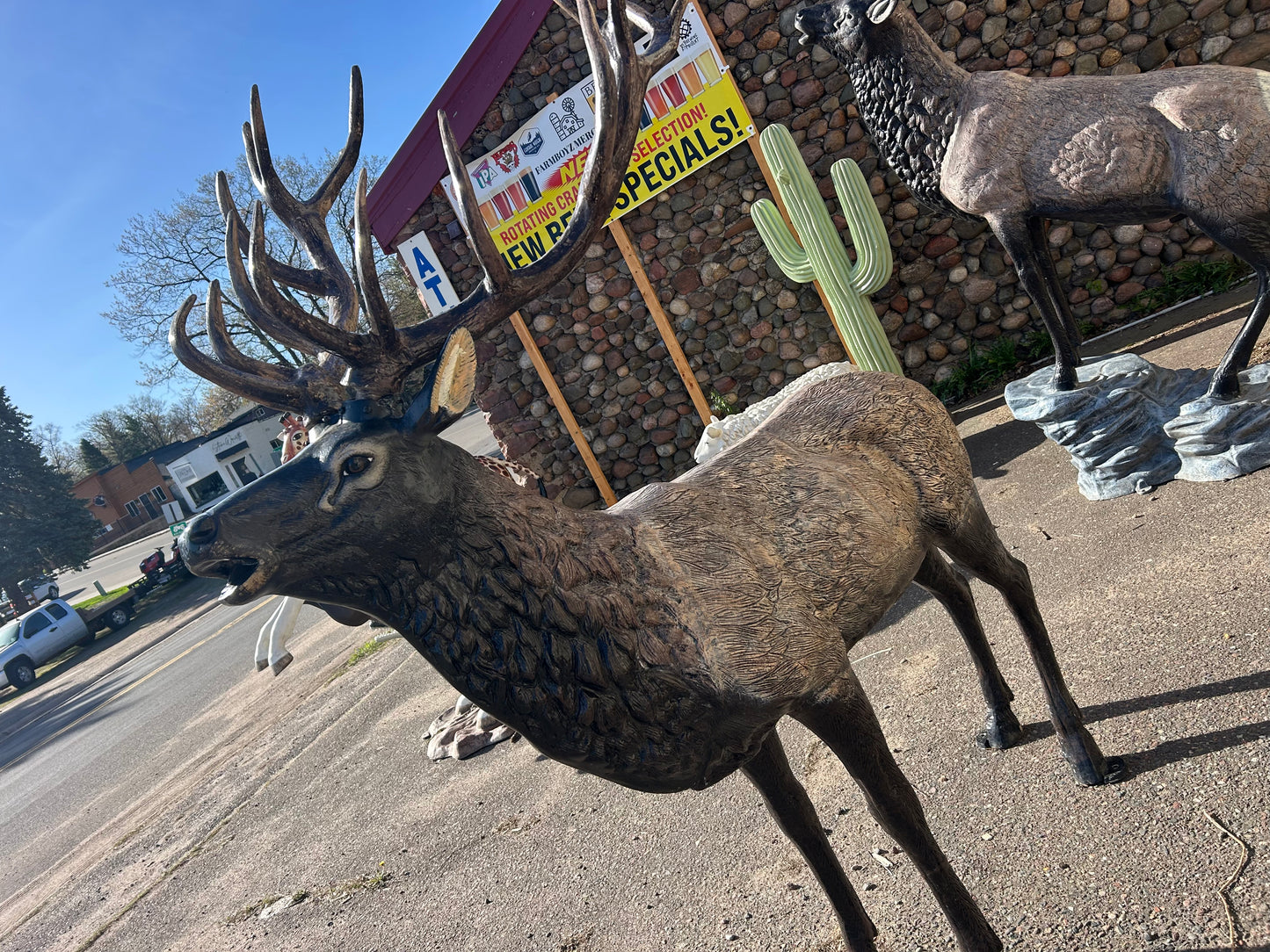 Standing Elk