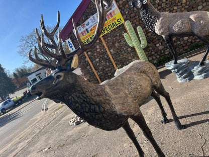 Standing Elk
