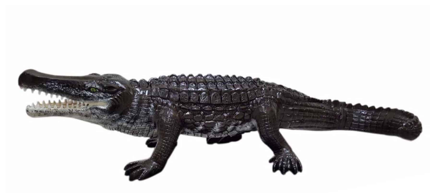 Extra Large Crocodile