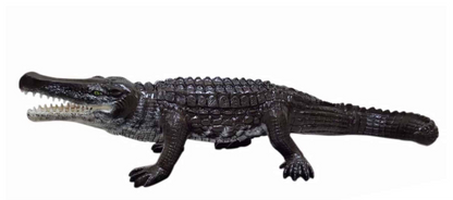 Extra Large Crocodile