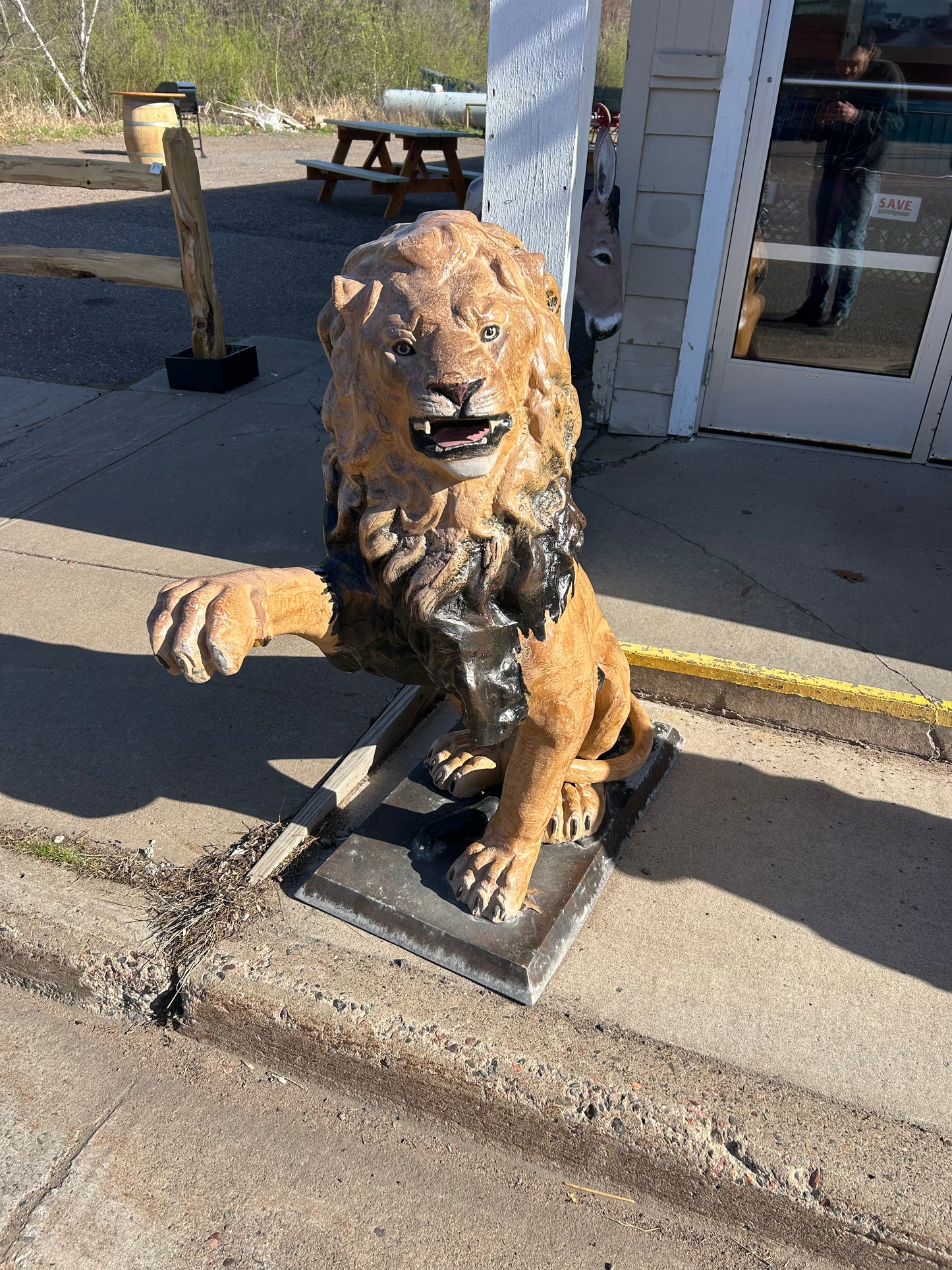 Lion Right Paw Up