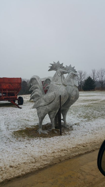 8ft Rooster