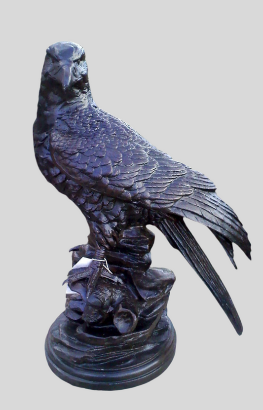Eagle Perched on Rock