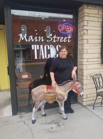Donkey W/ Baskets