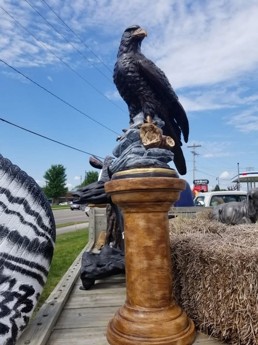 Perched Eagle on Rock