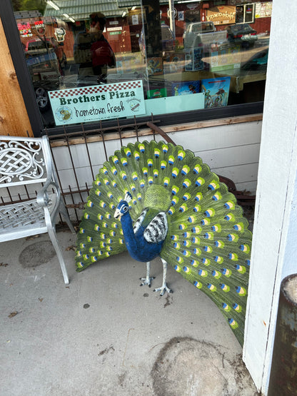 Peacock