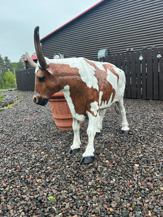 Bull Steer Longhorn