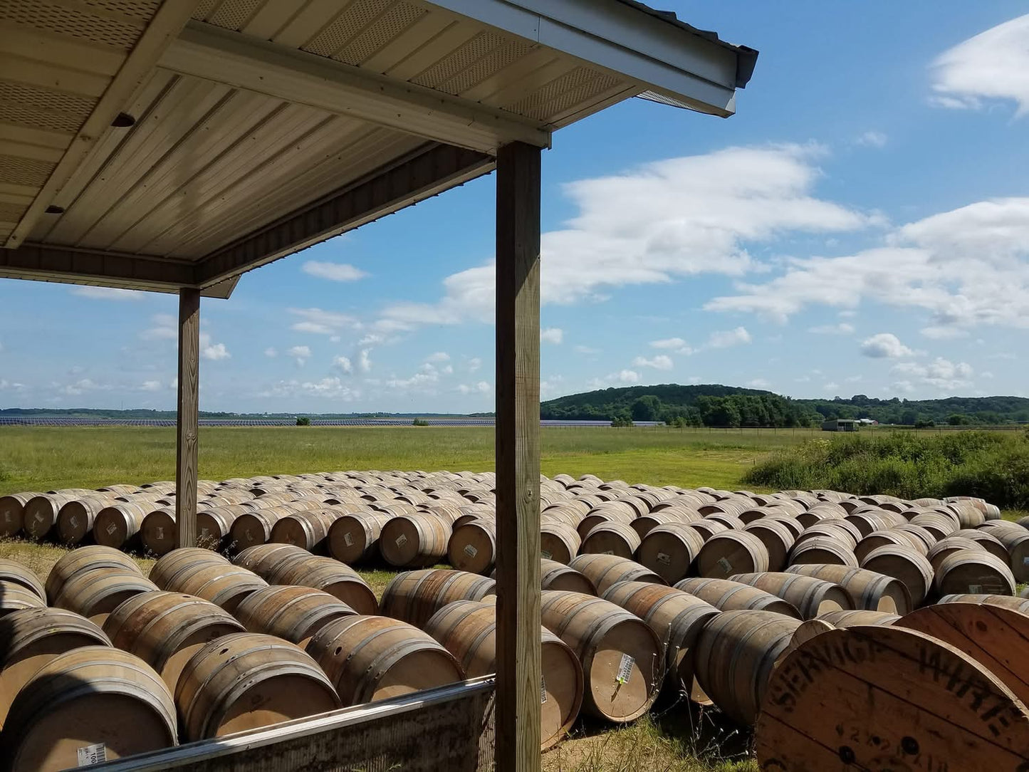 Wine Barrels for Rent & Sale
