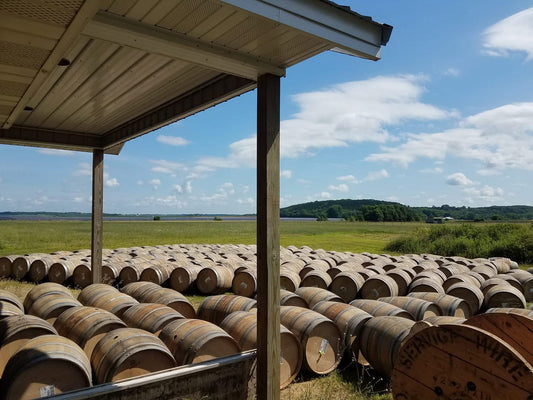 Wine Barrels for Rent & Sale