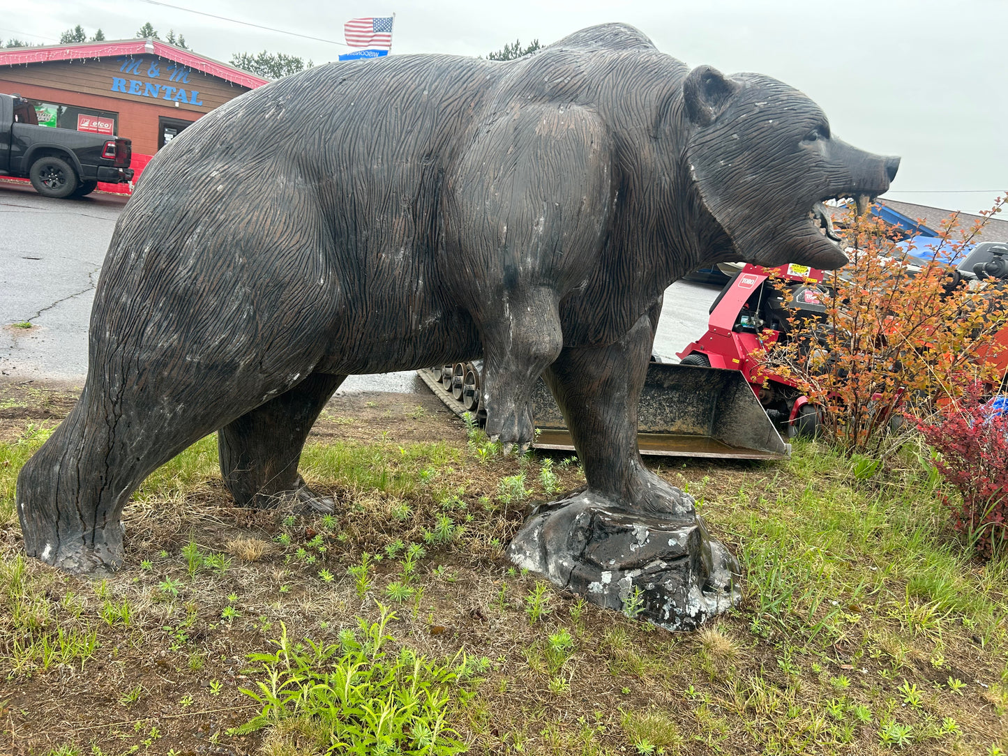 Grizzly Bear on Rock