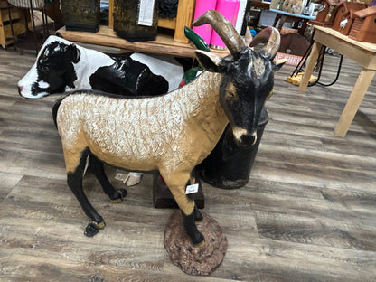 Goat on rock