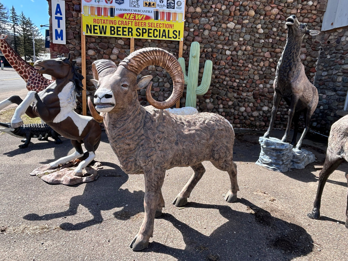 Large Mountain Ram