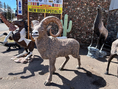 Large Mountain Ram