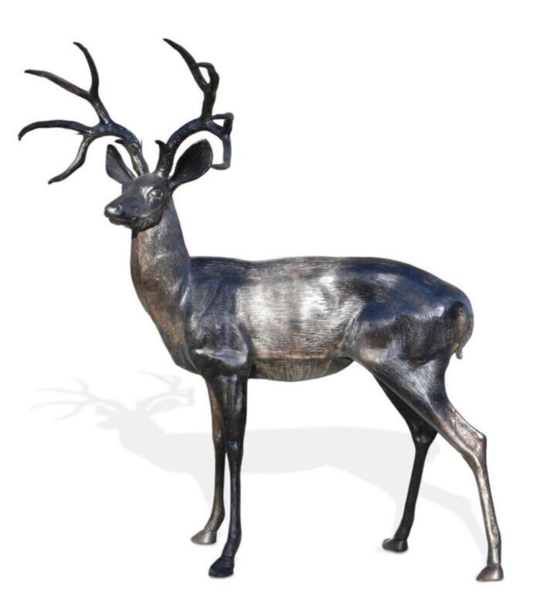 Large deer buck