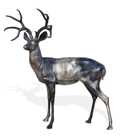 Large deer buck