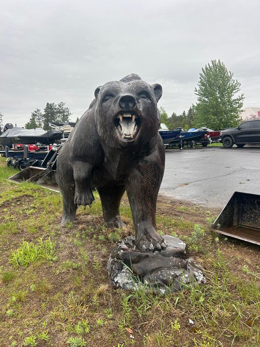 Grizzly Bear on Rock