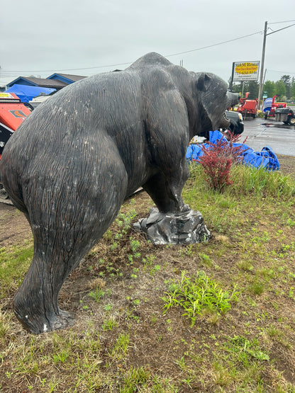 Grizzly Bear on Rock