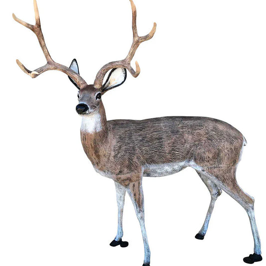 Large deer buck